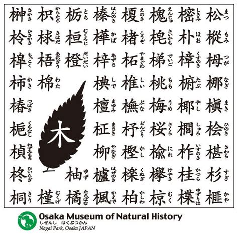 木同 漢字|木＋同の漢字の読み方！「桐」と「銅」の語源が同じ…